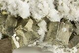 Gleaming Cubic Pyrite Cluster with Quartz & Fluorapatite - Peru #329325-1